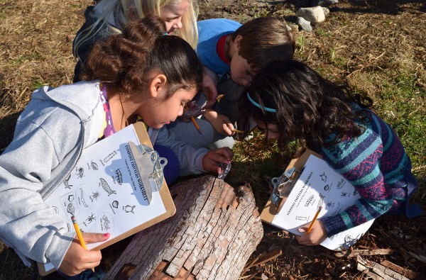 یادگیری مبتنی بر پروژه